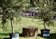 Ambiance_IRIS_Vendredi 02_05_2025_25.JPG