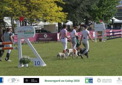 Épreuve 7 – Amateur 2 Grand Prix (1,05 m)