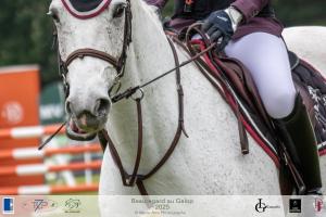 1-PREPA115-BAG-2025-107