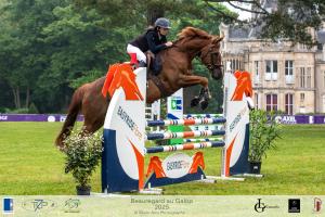 1-PREPA115-BAG-2025-133