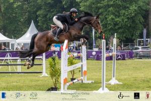 12-GP125-BAG-2025-119