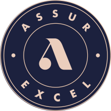 ASSUR EXCEL