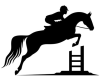 Jumping Icon